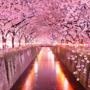 Meet your Posher, Tarsha